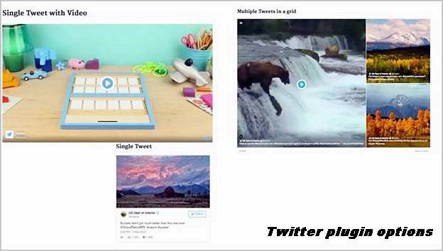 twitter-plugin-options