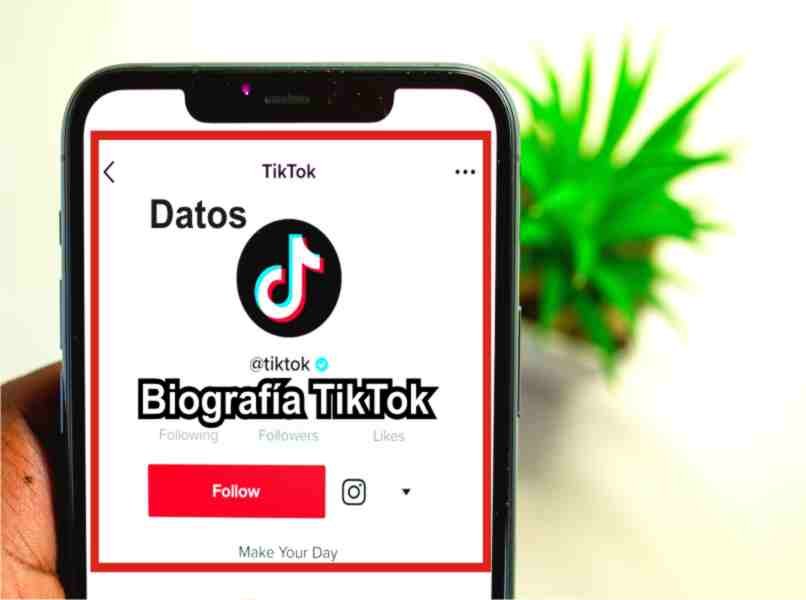 dados que entram nas biografias de tiktok