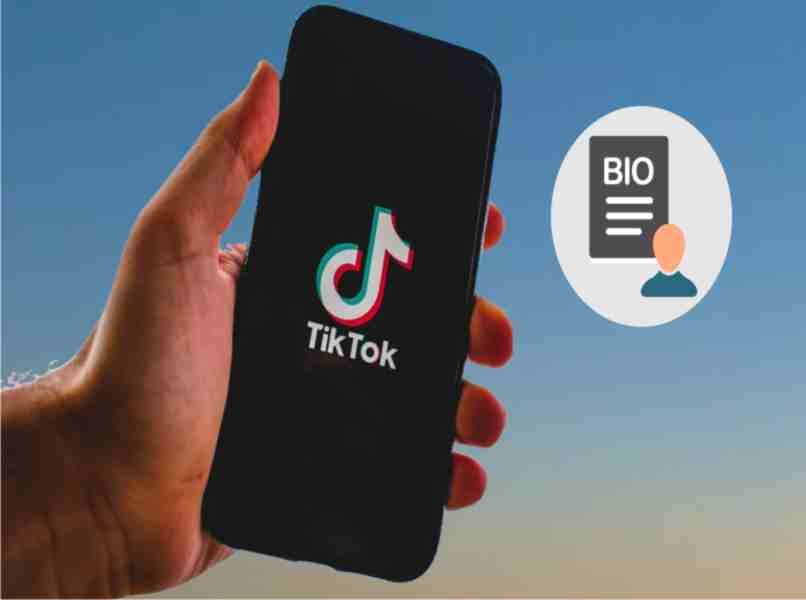 personne voit la biographie de tiktok sur téléphone portable