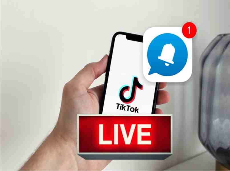 ]]see Live - Tiktok by notification[